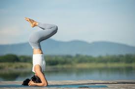 Tranquil Yoga Atmosphere